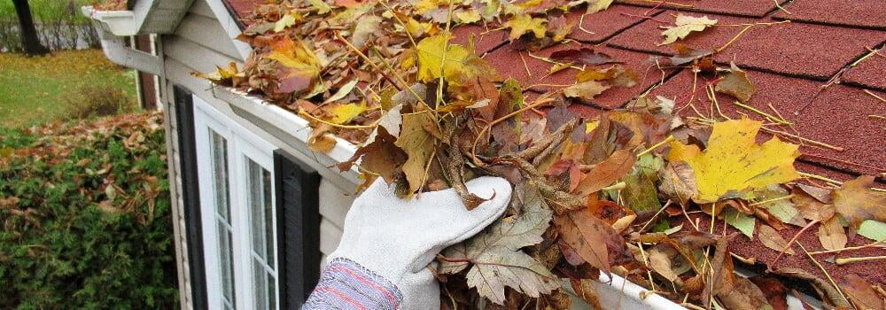 How and when to clean gutters